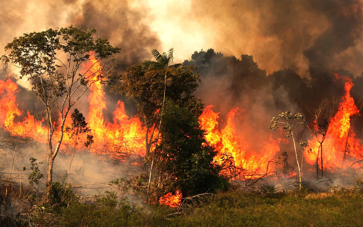 La risposta del G7 per contrastare gli incendi in Amazzonia