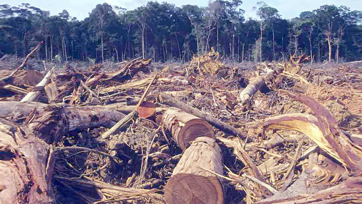 COP26: stop a metano e deforestazione, ma non è una novità