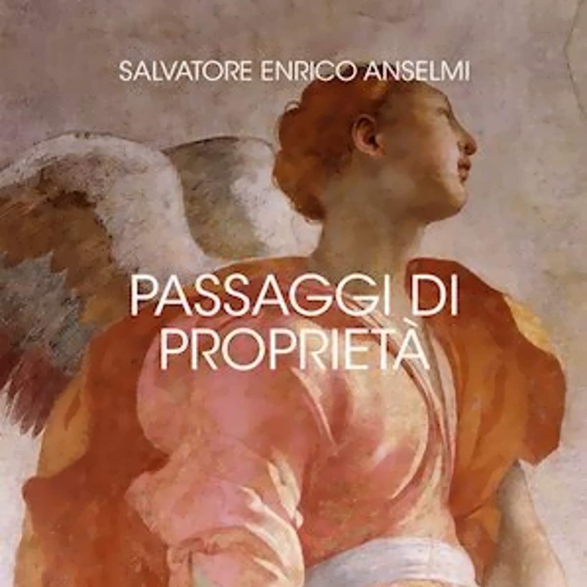 Salvatore Enrico Anselmi presenta il suo romanzo Passaggi di proprietà domenica 30 gennaio 2022