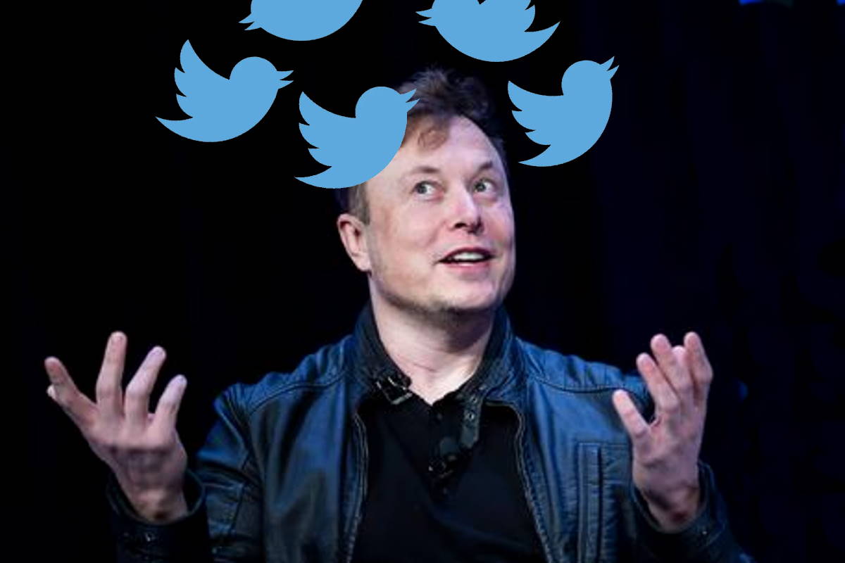 Elon Musk non farà parte del board di Twitter