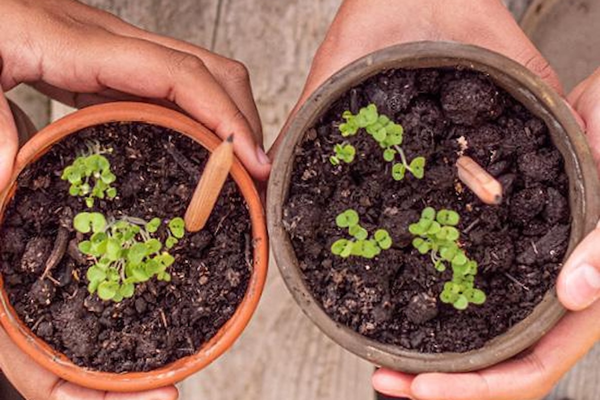 Risparmiare e far bene all’ambiente: i 10 consigli eco-friendly dell'imprenditore Michael Stausholm, fondatore di Sprout World