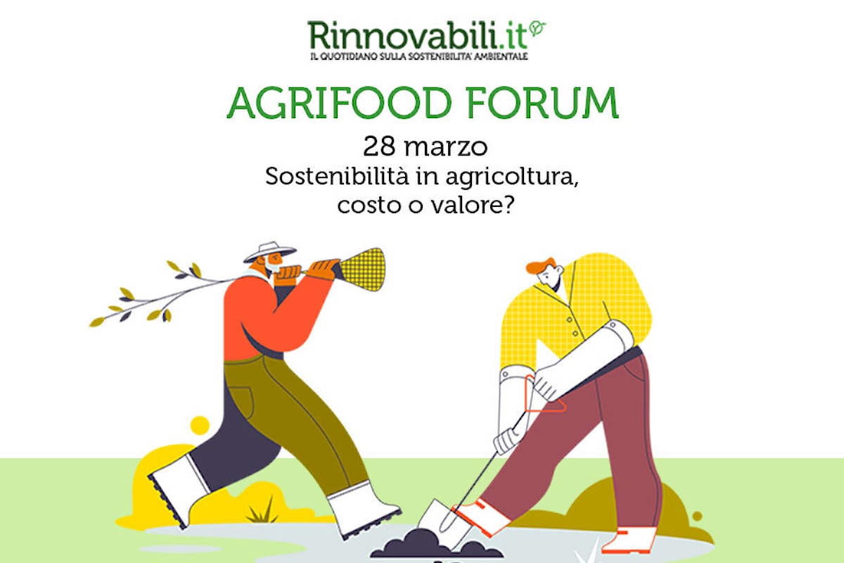 Agrifood Forum 2023, terza edizione  dell’evento digitale dedicato alla sostenibilità  del sistema agroalimentare   28 marzo 2023, ore 9.30