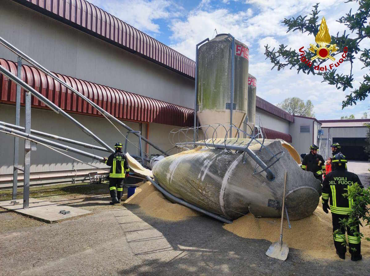 Tragedia nelle campagne di Forlì: tre fratelli muoiono nell'auto schiacciata da un silos