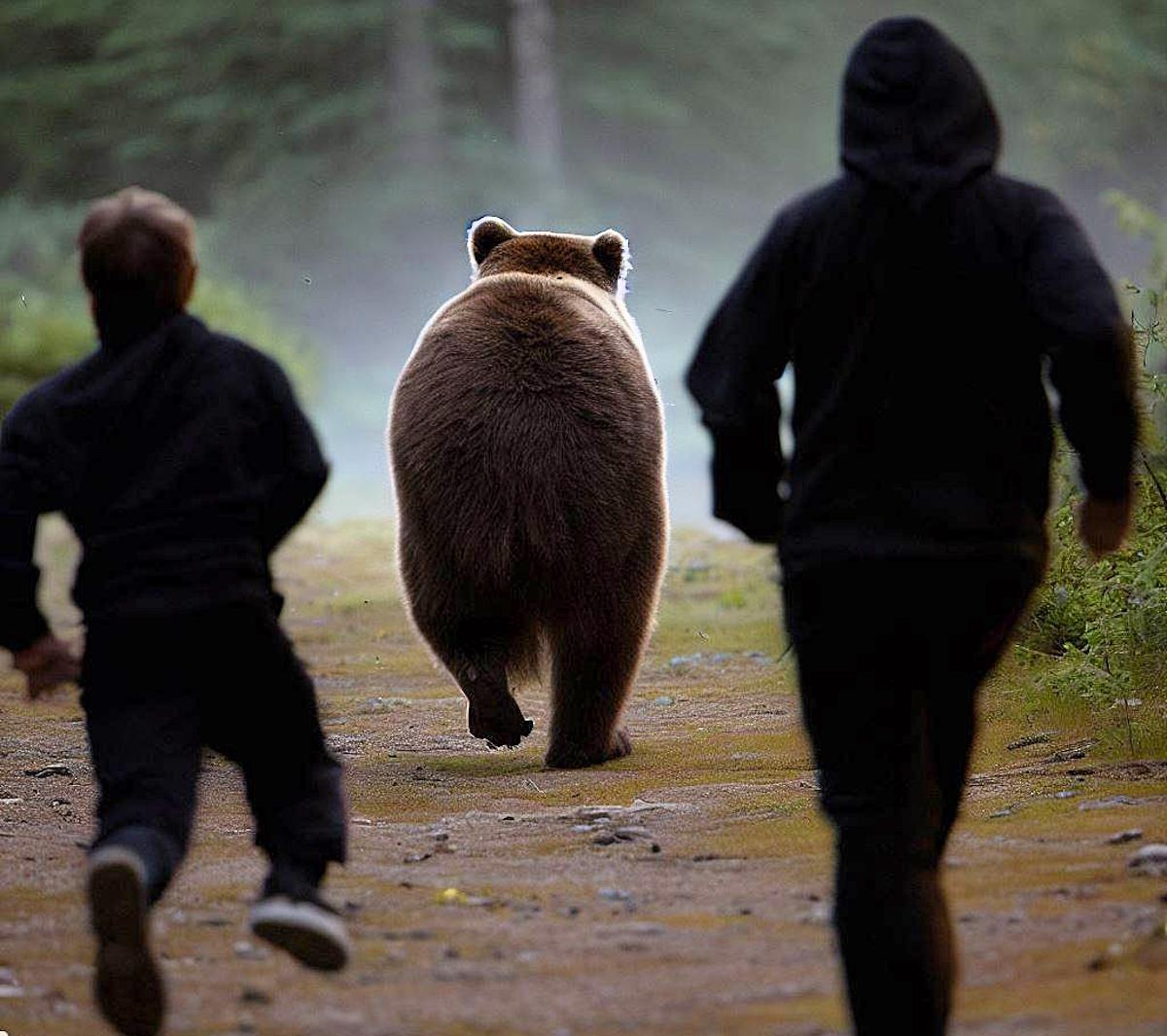 In Trentino un'orsa mette in fuga due persone per difendere un cucciolo e la PAT ne minaccia l'abbattimento