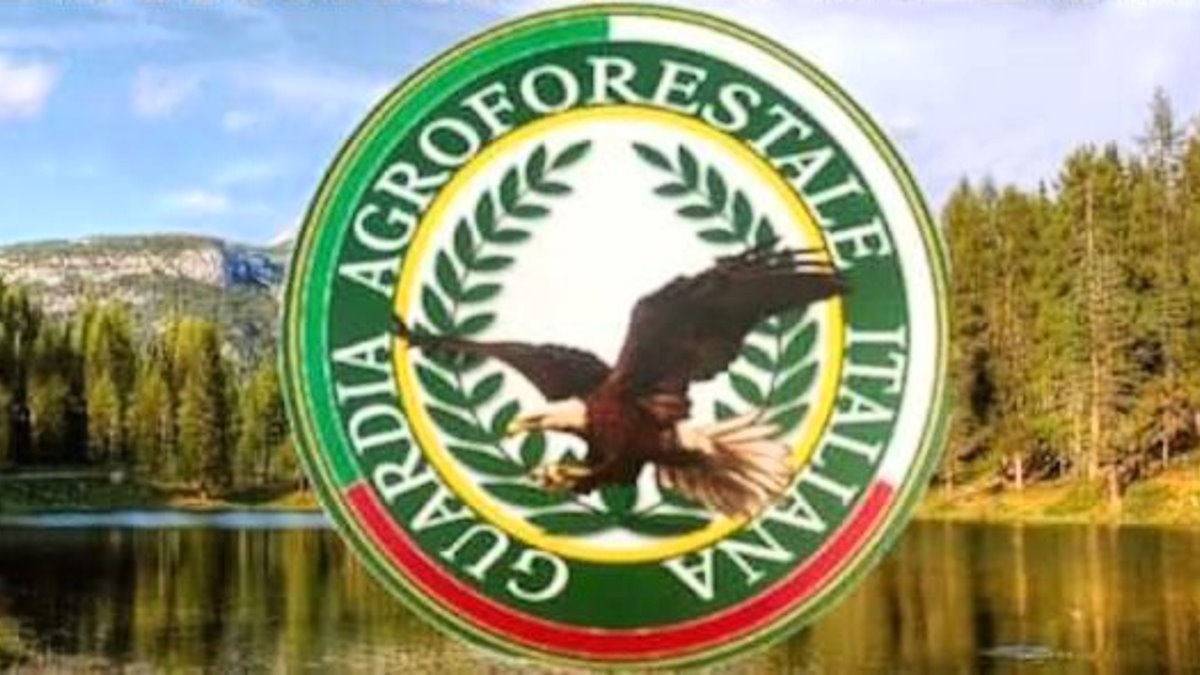Milazzo (ME) - Vigilanza ambientale, da oggi i controlli delle Guardie Agroforestali