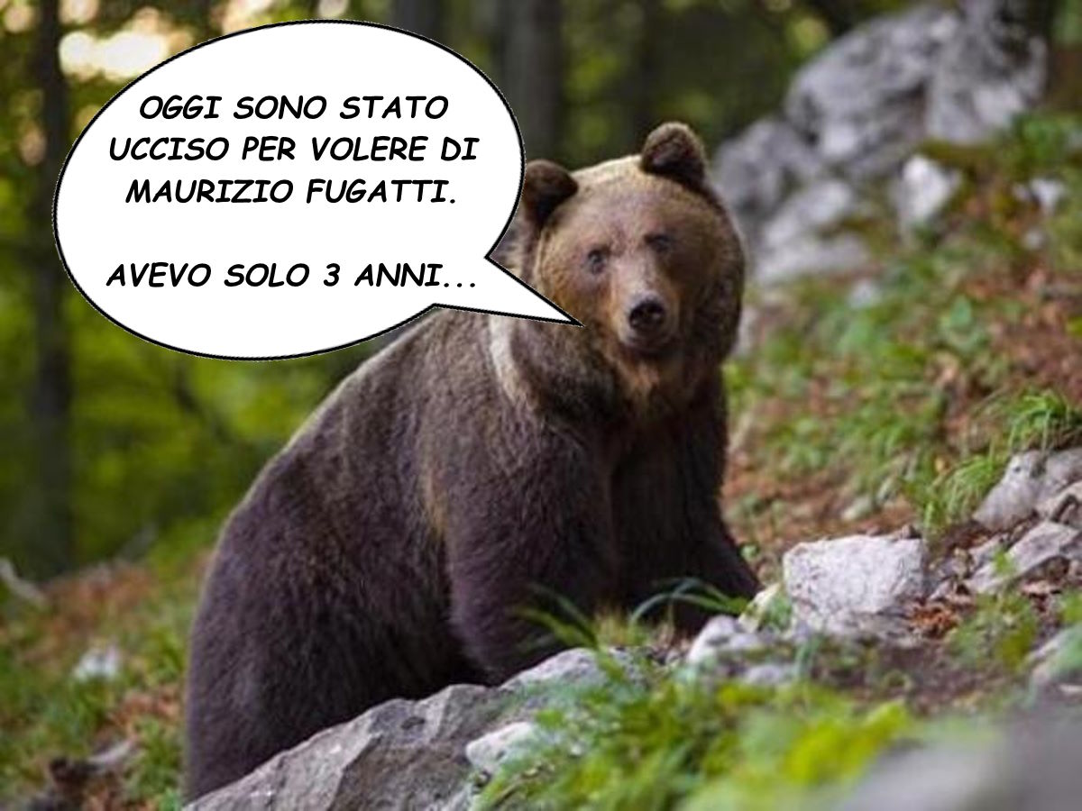 Perché finanziare il Trentino andando in vacanza in una provincia amministrata da un leghista che va fiero di ammazzare animali che non hanno fatto niente?