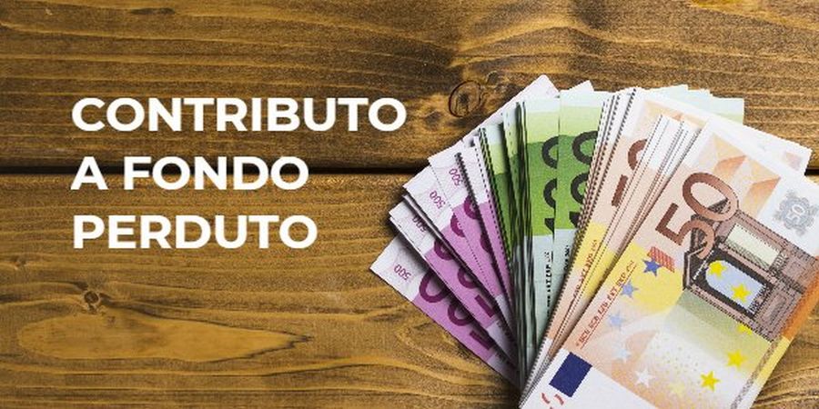 Contributi a Fondo Perduto per PMI: Opportunità di Finanziamento per Innovazione e Crescita
