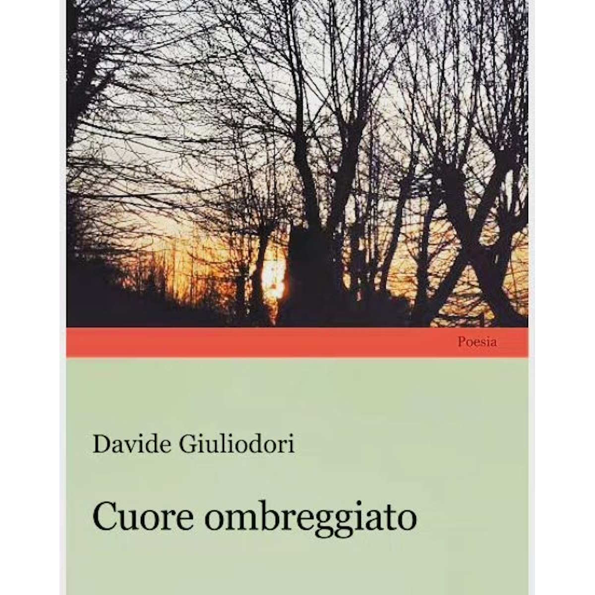 Davide Giuliodori – La raccolta poetica “Cuore ombreggiato”