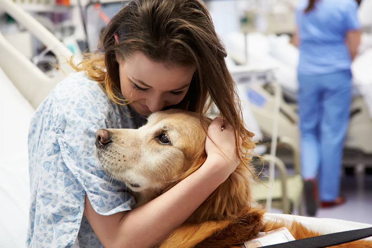 Progetto “Veterani in sella”: cavalli e cani i più coinvolti negli interventi di pet therapy