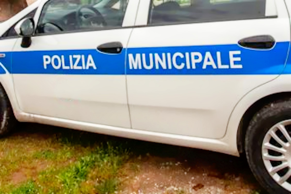 Orrore a Cava de' Tirreni: 70enne getta due cuccioli nel torrente. Denunciato, rischia il carcere