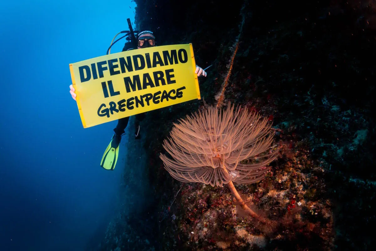 Il Mediterraneo senza filtri. Perché la guida “Il Mare in Tasca” di Greenpeace è un ultimatum – non un dépliant turistico