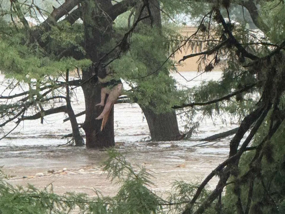 Oltre 80 i morti dell'alluvione lampo in Texas con il bilancio destinato a salire