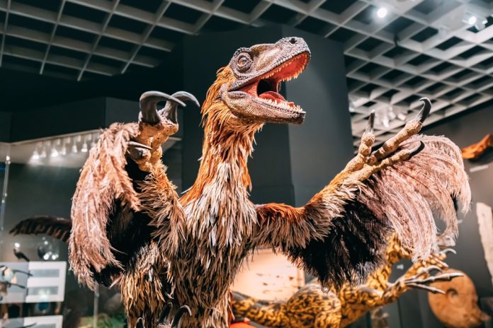 Il mistero sulle origini delle piume nei dinosauri