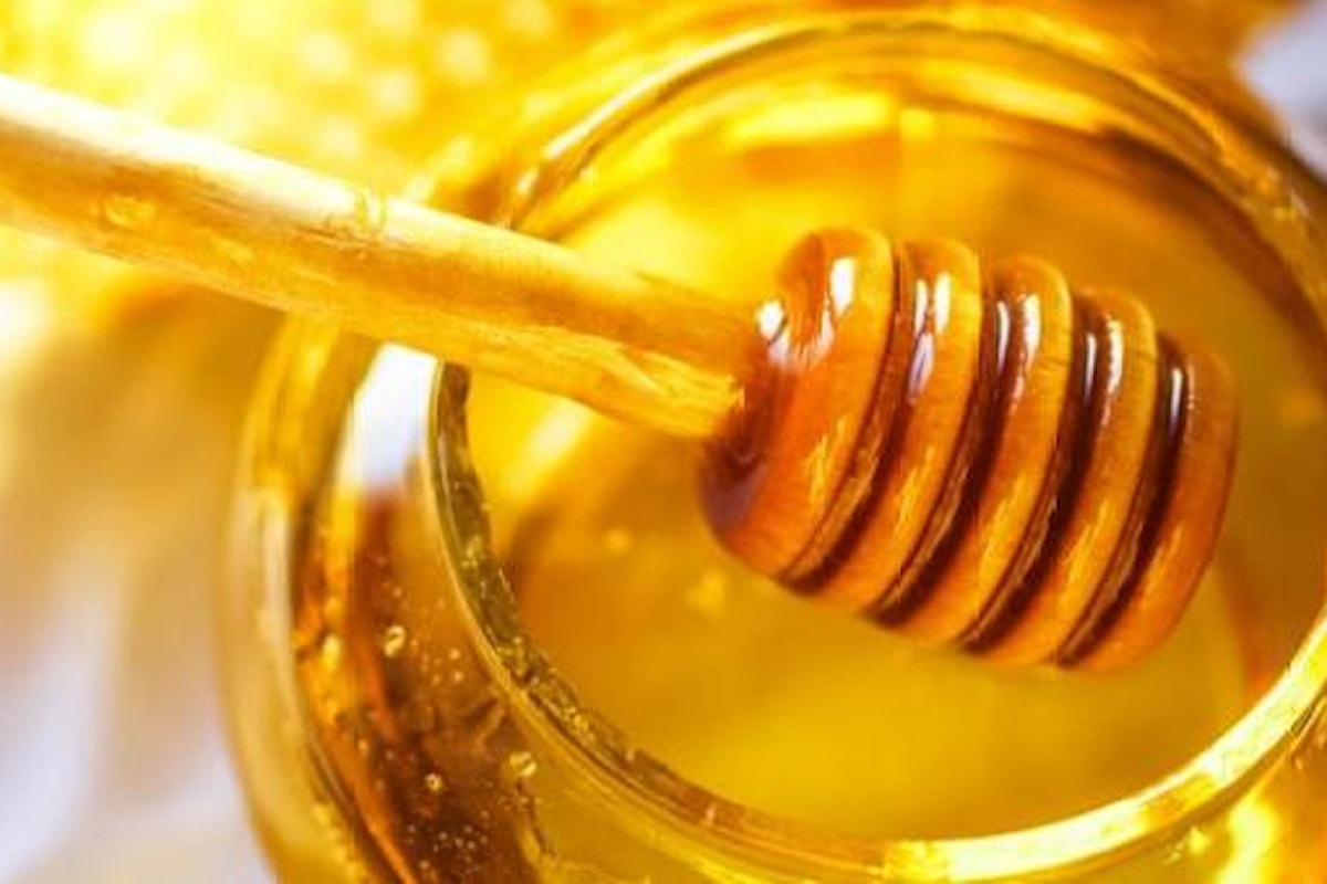Sai riconoscere il miele con un semplice sguardo?