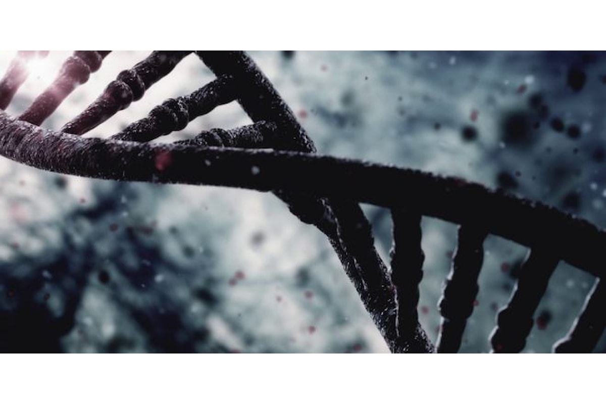DNA e RNA: complessità, struttura e funzioni
