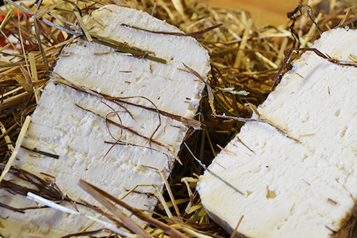 Assaggiate il pecorino toscano semistagionato nel fieno per 6 mesi, direttamente a casa vostra.