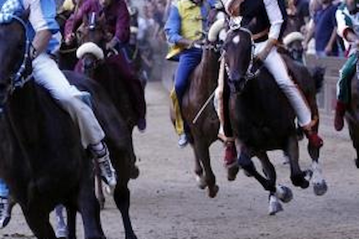 Il Palio di Siena, cavalli sacrificati in nome di una tradizione