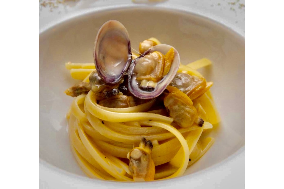 Cattura il mare e mettilo nel freezer