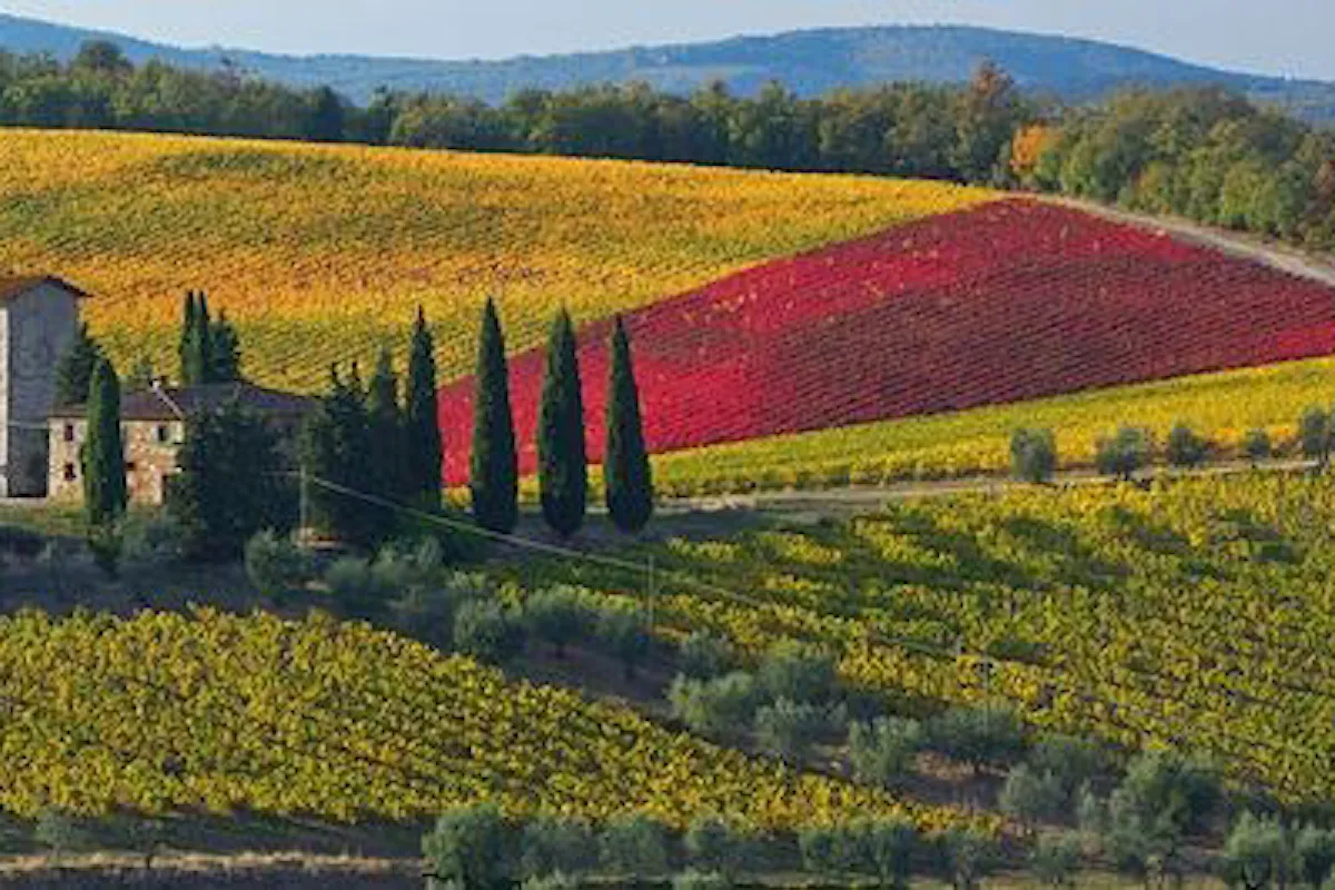 Visita il bellissimo borgo di Gaiole in Chianti