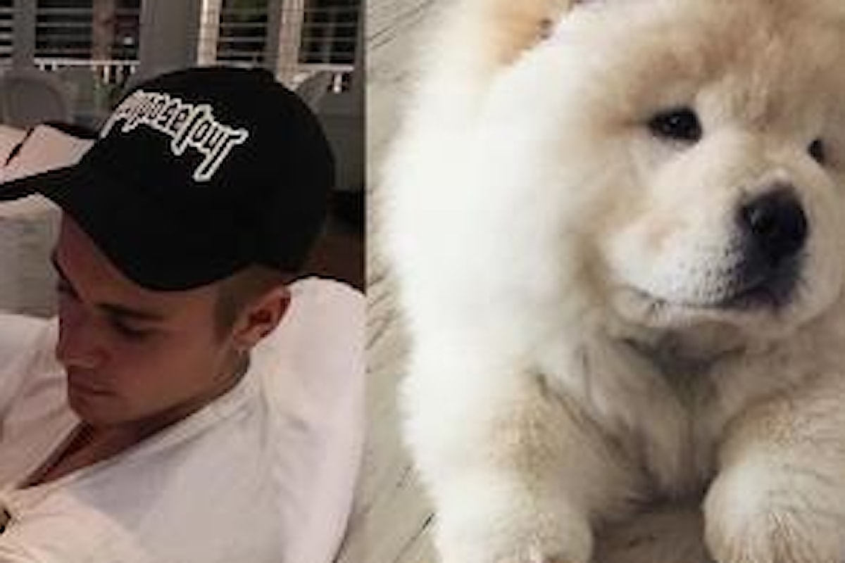 Justing Bieber: abbandona il suo cane rischiando di condannarlo a morte