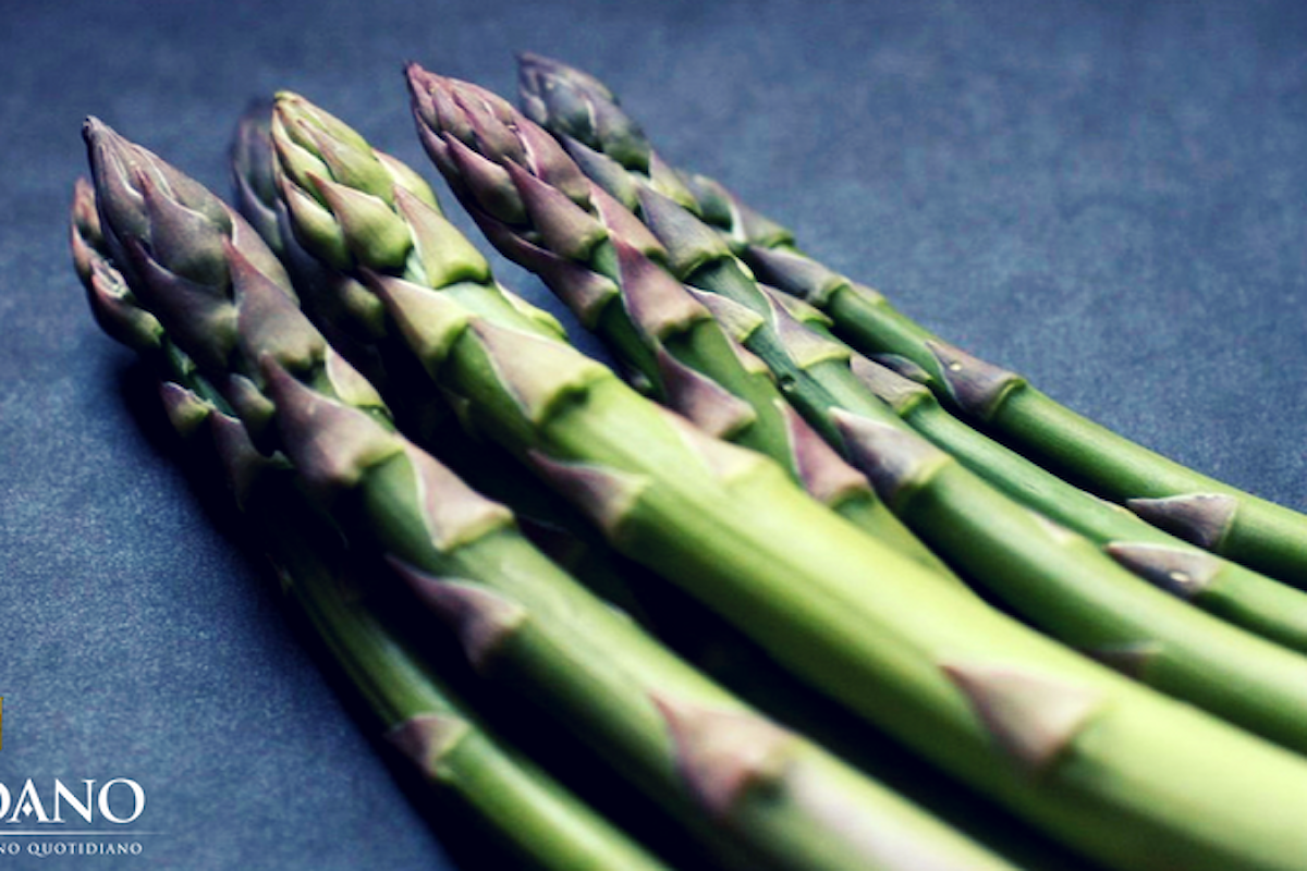 La stagione degli asparagi entra nel vivo: scopri 3 modi gustosi di proporli in tavola e con quali vini Giordano servirli