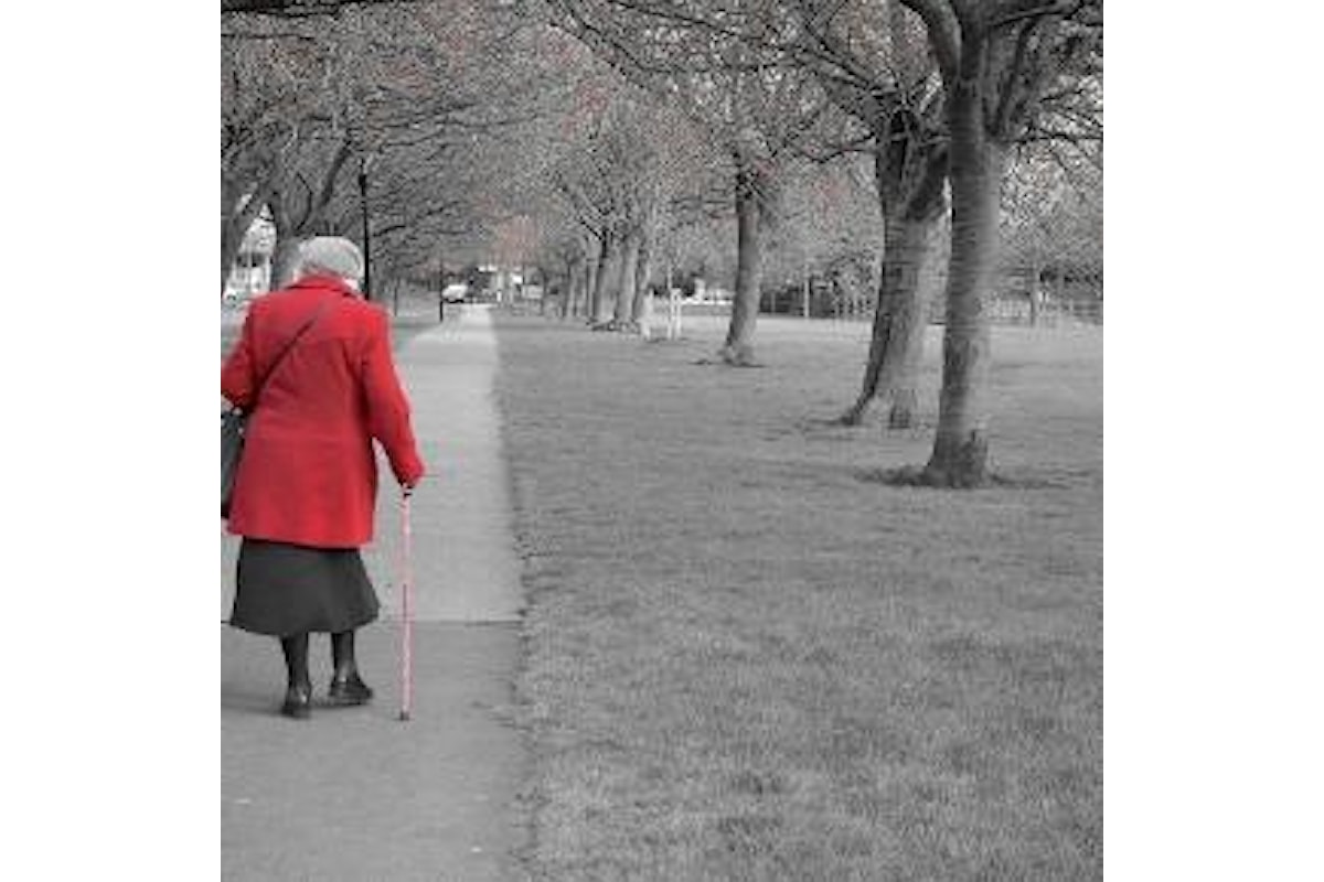 Riforma pensioni, ultime news ad oggi 22 novembre per APE, opzione donna ed esodati